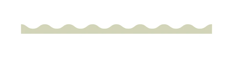 border wave mini_sage green.jpg