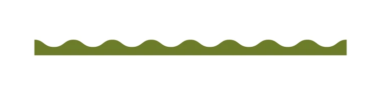 border wave mini_oliwkowy.jpg