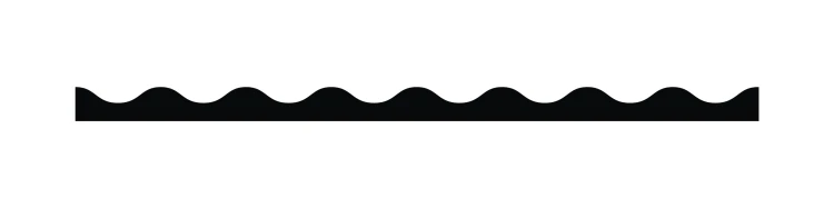 border wave mini_black cat.jpg