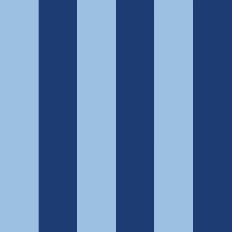 stripes_6_9cc0e1_1e3b73.jpg